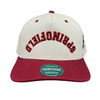 Upside Down Springfield Hat