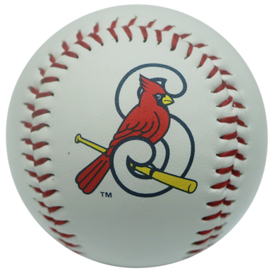 Baseball S-Bird Logo